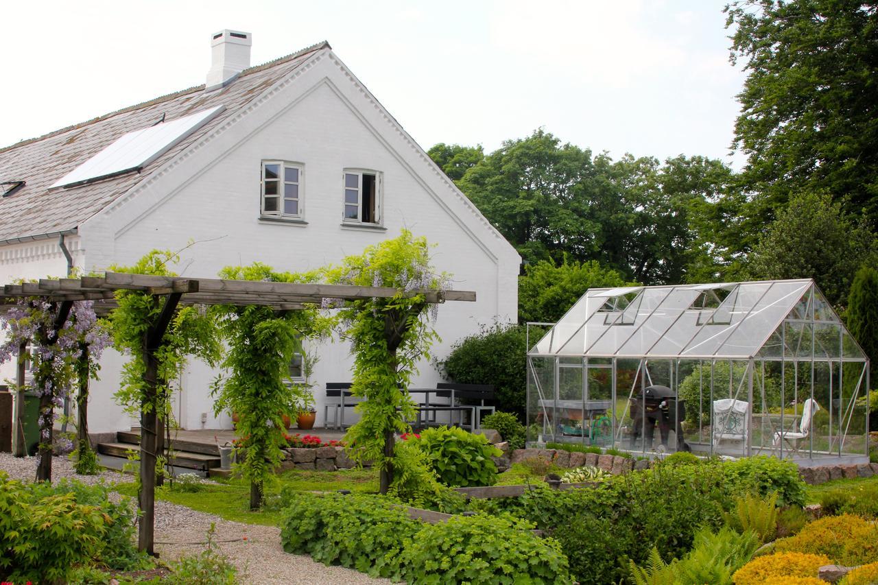 Bed and Breakfast Birkum Bb Esterno foto