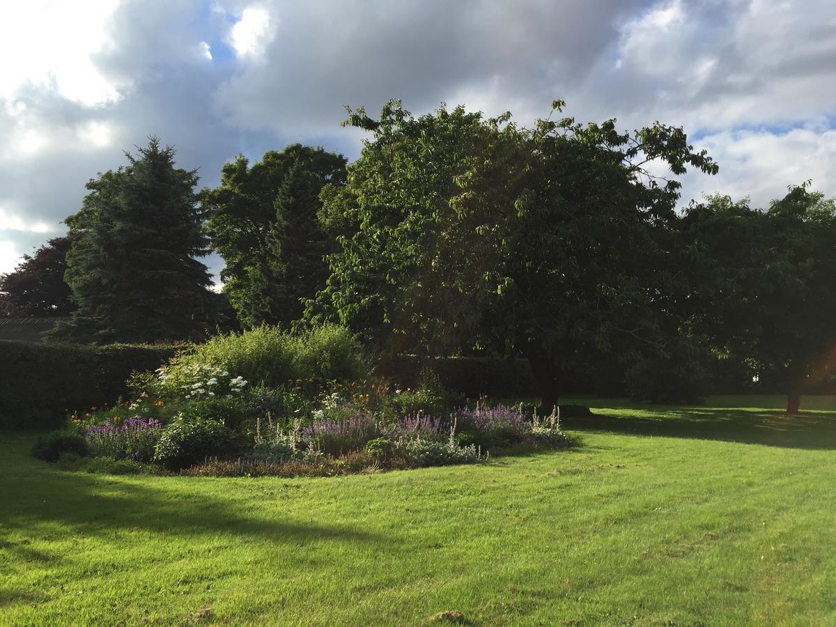Bed and Breakfast Birkum Bb Esterno foto